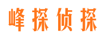 石楼市侦探公司